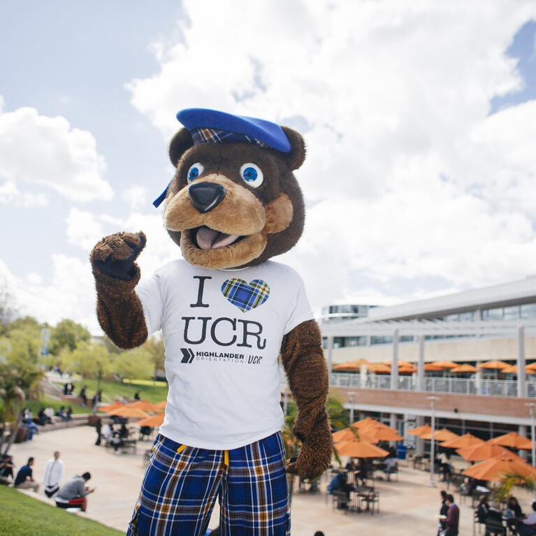 SCOTTY BEAR